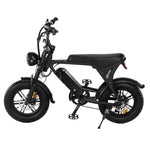 20MPH Top Speed 500W 25Mi Range Fat Tire Electric Bike