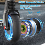 15MPH 15Mi Range 350W Electric Scooter