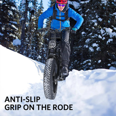 31MPH Top Speed 750W 20 Inch Electric Bike